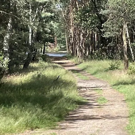 In Near Forest, Cleaning Included Voorthuizen