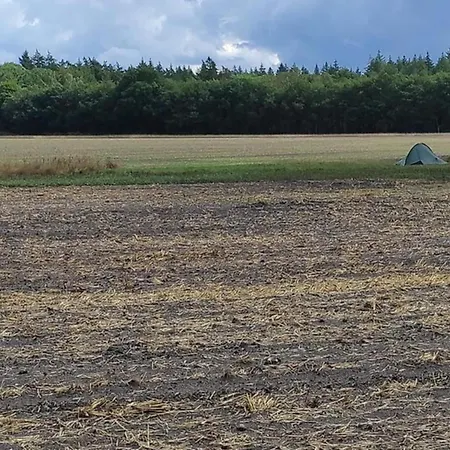 Holiday home In Near Forest, Cleaning Included Voorthuizen